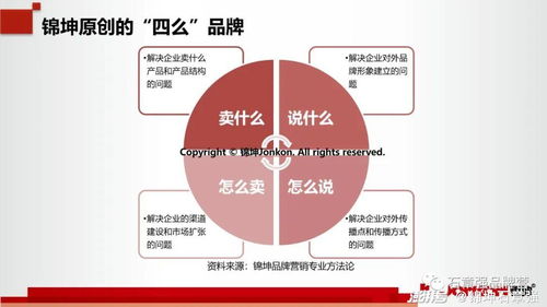 科技行業(yè)第一品牌的頂層設(shè)計(jì)與底層運(yùn)營(yíng) 互聯(lián)網(wǎng)銷售的制勝之道